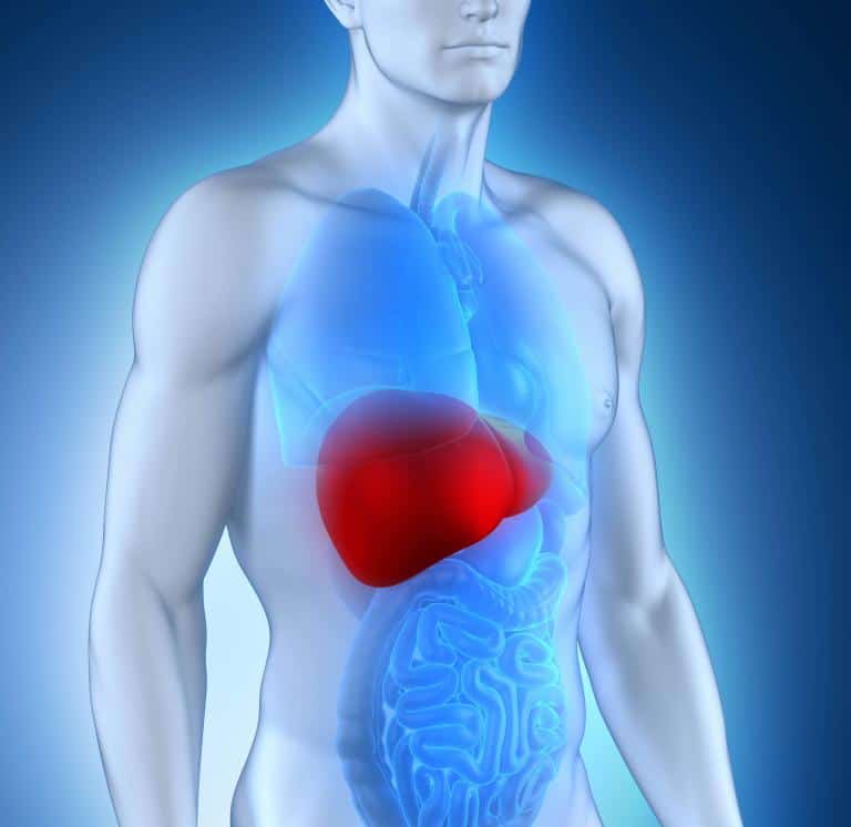 Fibrosis | Hepatitis Central